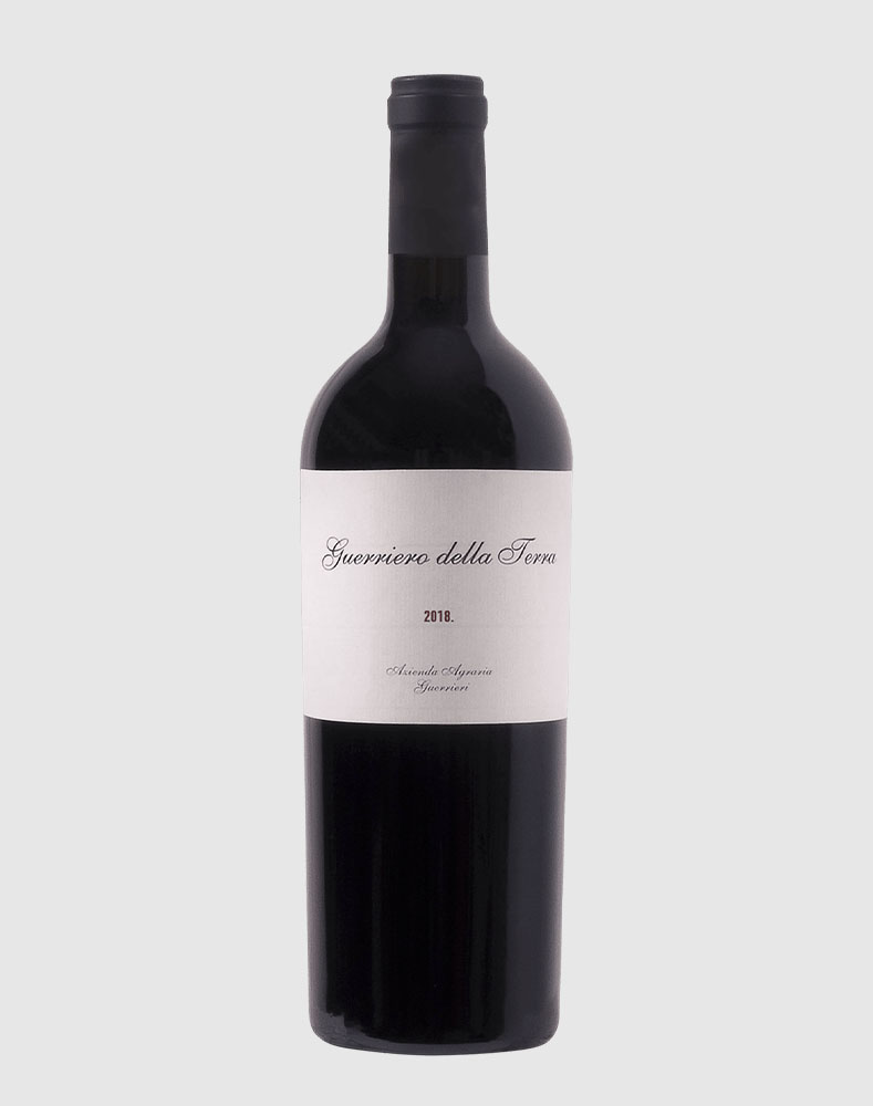Guerriero Della Terra 2019